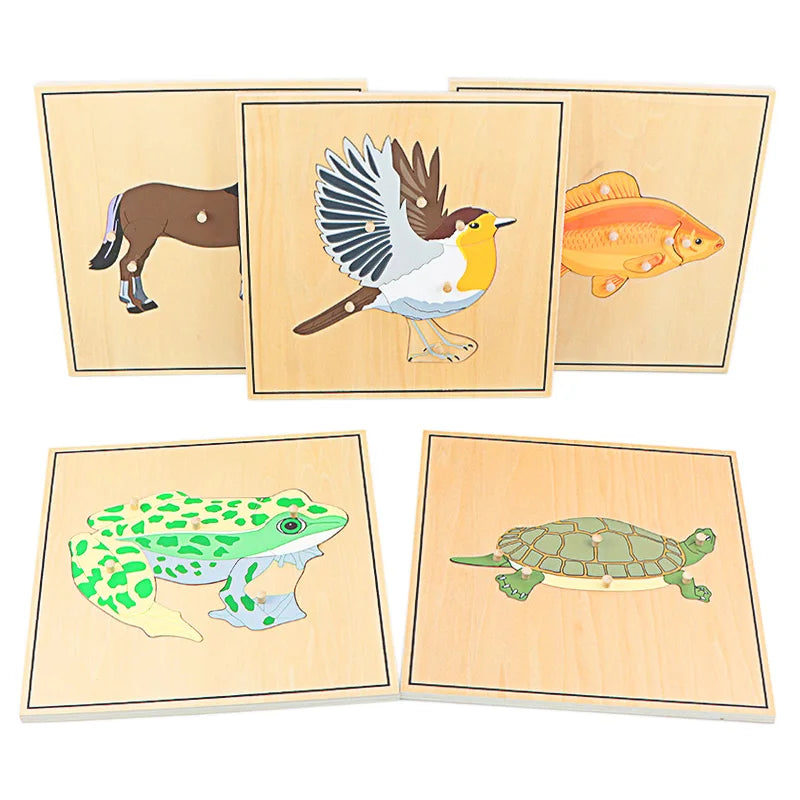 Children Educational Toys Montessori Materials Biology Wooden Skeleton Puzzle Frog Horse Tortiose Fish Bird Animal Toys for Boy